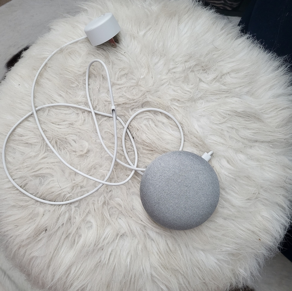 Google home nest mini Alexa siri system